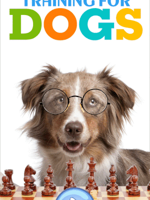 Brain Training for dogs Review- Train your Dog to be intelligent
